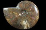 Flashy Red Iridescent Ammonite - Wide #81838-1